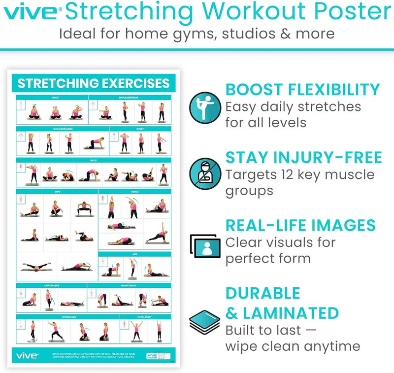 VIVE Workout Posters for Home Gym - 52 Streching Exercises Full Body Workout - Laminated Pre Post Routines Wall Chart - Bodyweight Poses Instruction Guide for Core, Abs, Legs, Glutes, Upper Body - Image 2